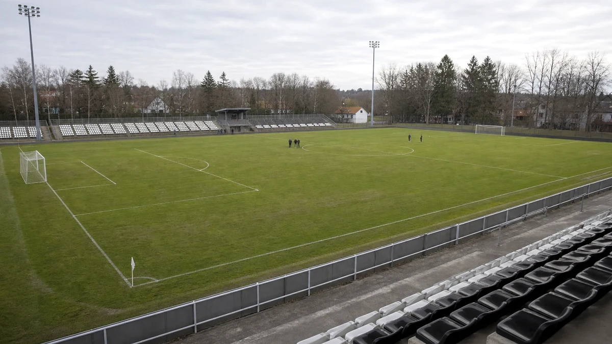 PostNord-ligaen, arenamiljø under kamp